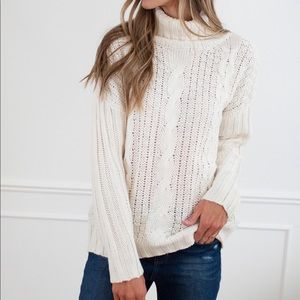 Chunky Turtleneck Sweater